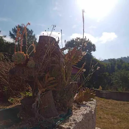 Casita De Campo, Con Encanto Y Anexo Rustico Holiday home Mondariz